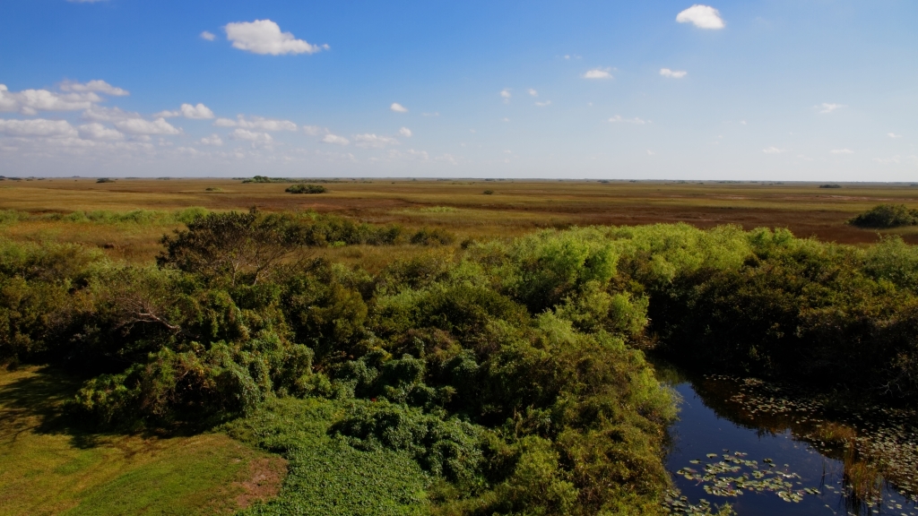 02 - Everglade NP (28).jpg